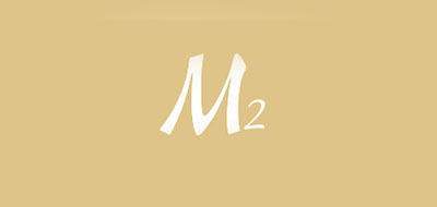 M2是什么牌子_第二记忆品牌怎么样?