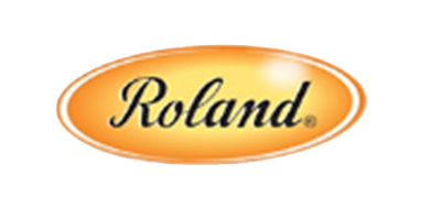 Roland是什么牌子_Roland品牌怎么样?