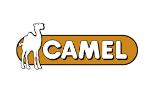 camel是什么牌子_骆驼品牌怎么样?