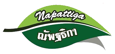 Napattiga是什么牌子_娜帕蒂卡品牌怎么样?