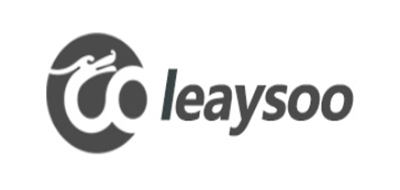 Leaysoo是什么牌子_雷龙品牌怎么样?