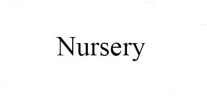 nursery是什么牌子_娜斯丽品牌怎么样?