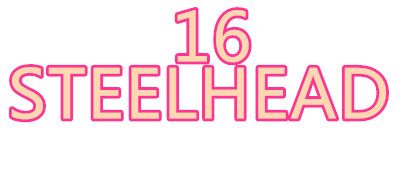 STEELHEAD16是什么牌子_STEELHEAD16品牌怎么样?