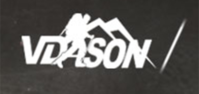 VDASON是什么牌子_维达森品牌怎么样?
