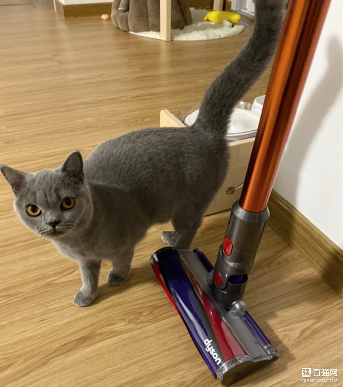 吸尘器中的劳斯莱斯，Dyson V10手持无绳吸尘器使用体验