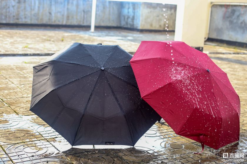 绅士与暴徒,169的雨伞与69的对比,绅士手开自动收美收伞 绅士与暴徒,169的雨伞与69的对比,绅士手开自动收美收伞