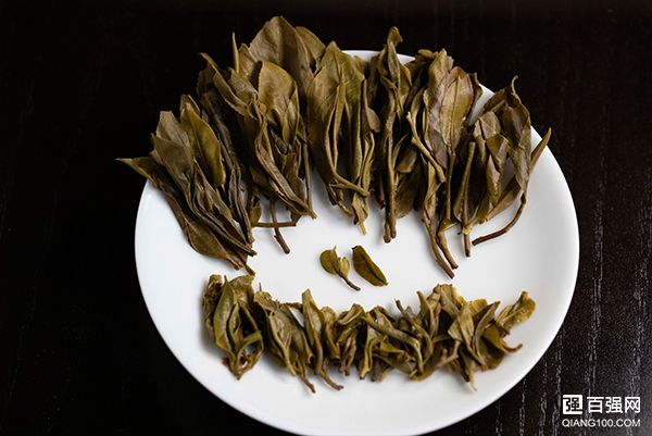昔归普洱茶:生熟两相宜 “班章”和“冰岛”之外的最佳选择 昔归普洱茶:生熟两相宜 “班章”和“冰岛”之外的最佳选择