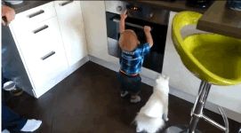 一只不让小主人碰烤箱，怕他烫着的贴心喵。。一脸贤惠-1