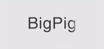 BIGPIG是什么牌子_BIGPIG品牌怎么样?