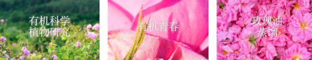 推荐几款香薰精油品牌?Le Labo香薰精油好不好? 推荐几款香薰精油品牌?Le Labo香薰精油好不好?