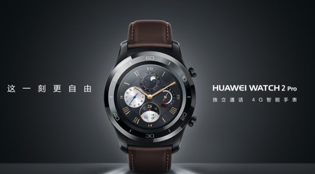 Huawei/华为 WATCH 2和HUAWEI WATCH 2 Pro 4G智能手表哪款好? Huawei/华为 WATCH 2和HUAWEI WATCH 2 Pro 4G智能手表哪款好?