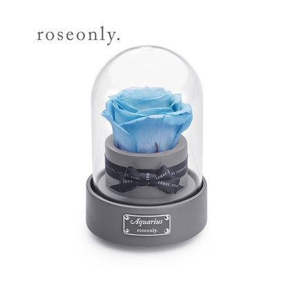 roseonly永生花音乐盒怎么样?做情人节礼物寓意好么? roseonly永生花音乐盒怎么样?做情人节礼物寓意好么?