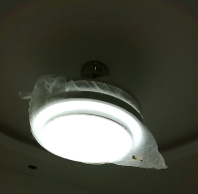 领王吊扇灯怎么样？领王吊扇灯是杂牌的吗?