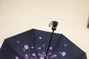 海螺沈月同款遮阳伞怎么样?质量好不好? 海螺沈月同款遮阳伞怎么样?质量好不好?