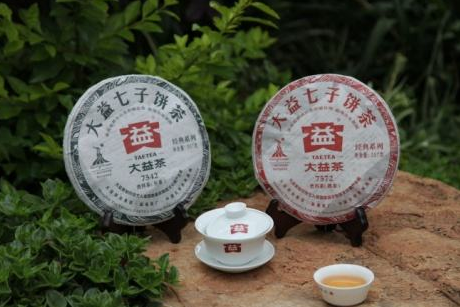 大益普洱茶哪个系列好? 大益普洱茶哪个系列好?