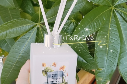 MINISO优雅夏花系列香薰推荐?香气如何? MINISO优雅夏花系列香薰推荐?香气如何?