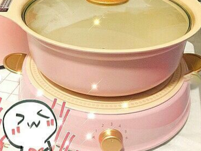 爱丽思的电磁炉自带锅吗?好用吗? 爱丽思的电磁炉自带锅吗?好用吗?
