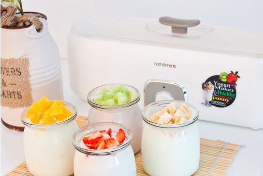 酸奶机选购指南：教你如何挑选好用的酸奶机-3