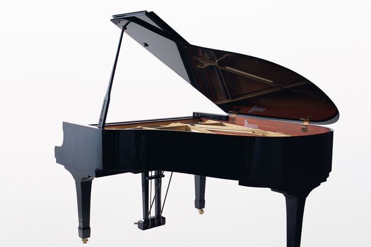 钢琴知识百科：钢琴怎么选 电钢琴与钢琴的区别-1