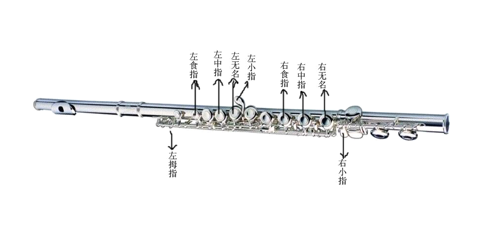 长笛初学入门指法表 长笛与短笛有哪些区别 长笛初学入门指法表 长笛与短笛有哪些区别