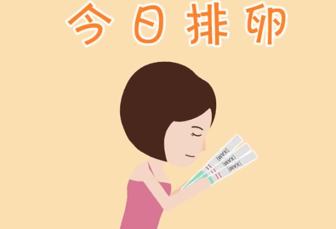 排卵试纸—夫妻备孕的小帮手 排卵试纸—夫妻备孕的小帮手