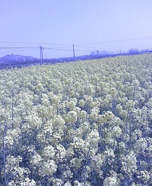 一个人的旅行｜忙里偷闲的生活碎片