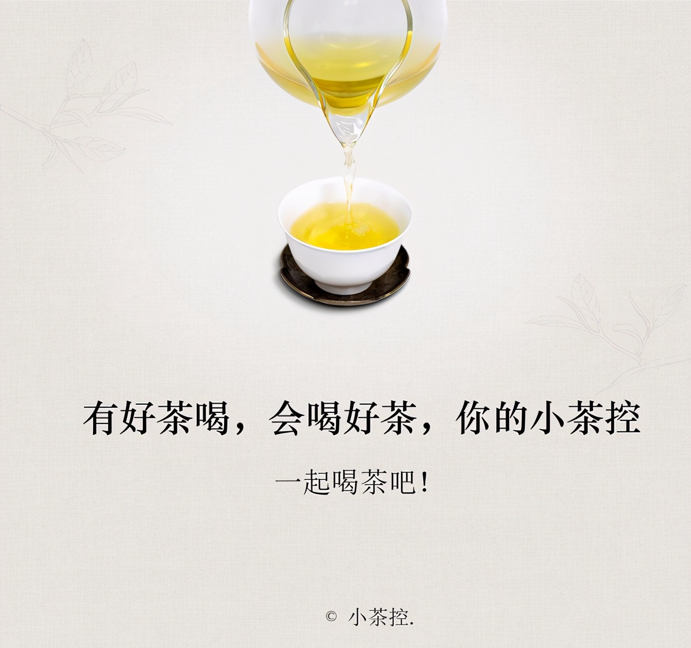 快来品尝树梢上的甘甜!古树茶品牌”小茶控“上线6款产品 快来品尝树梢上的甘甜!古树茶品牌”小茶控“上线6款产品