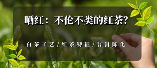 不伦不类的红茶 不伦不类的红茶