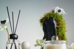 野兽派家居携手 Marimekko 推出联名系列，意在传递春日的美好-2