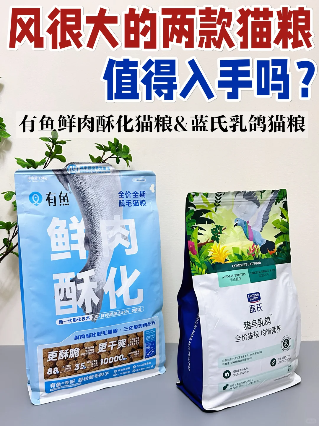 有鱼和蓝氏猫粮哪个好？有鱼和蓝氏猫粮哪款值得入手