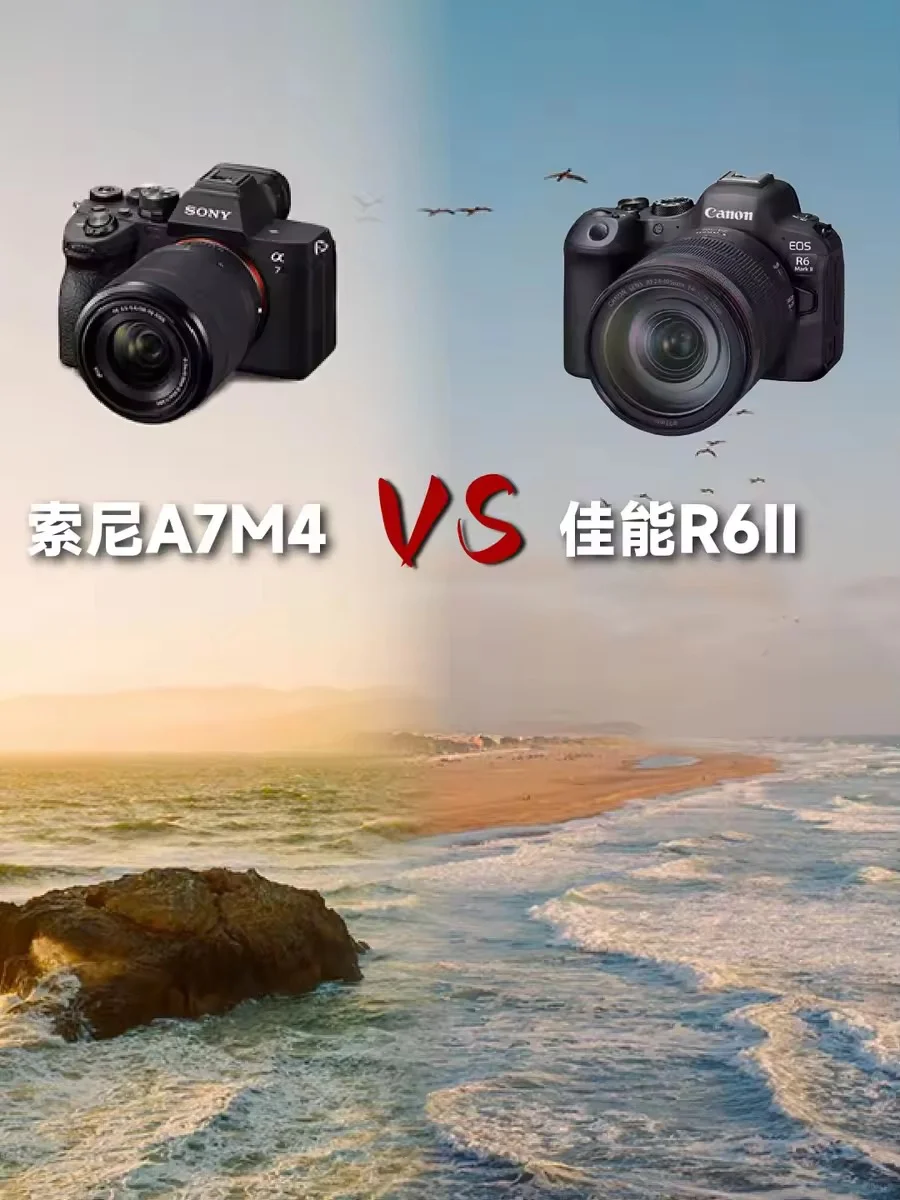 佳能r62和索尼a7m4拍旅游哪个好?佳能r62和索尼a7m4画质对比 佳能r62和索尼a7m4拍旅游哪个好?佳能r62和索尼a7m4画质对比