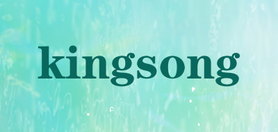 kingsong是什么牌子_kingsong品牌怎么样?
