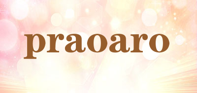 praoaro是什么牌子_praoaro品牌怎么样?