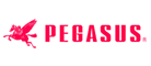 pegasus是什么牌子_飞马品牌怎么样?