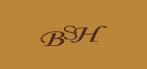bsh是什么牌子_bsh品牌怎么样?