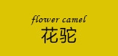 flowercamel是什么牌子_flowercamel品牌怎么样?
