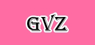 gvz是什么牌子_gvz品牌怎么样?