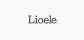 lioele是什么牌子_丽奥丽品牌怎么样?