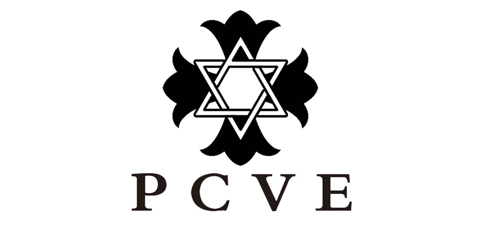 pcve是什么牌子_pcve品牌怎么样?