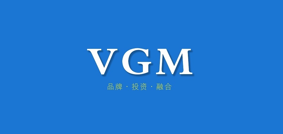 vgm是什么牌子_vgm品牌怎么样?