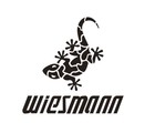 wiesmann是什么牌子_wiesmann品牌怎么样?