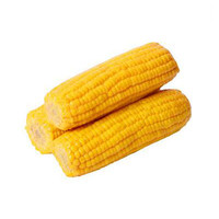 水果玉米哪个牌子好_2024水果玉米十大品牌_水果玉米名牌大全-百强网