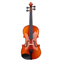 提琴哪个牌子好_2024提琴十大品牌_提琴名牌大全-百强网